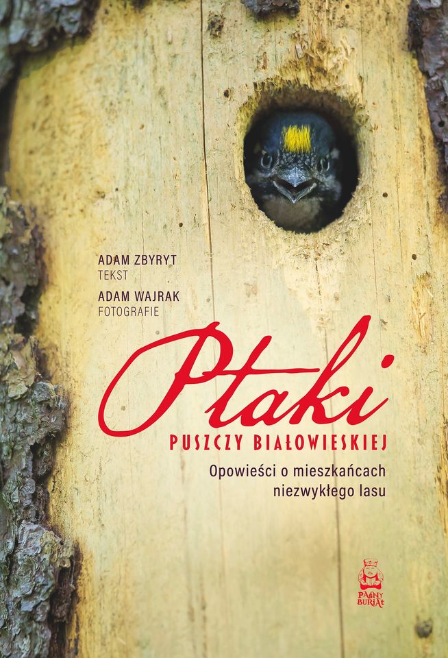 Ptaki Puszczy Białowieskiej. Opowieści o mieszkańcach niezwykłego lasu