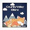 Country Valley Kittens