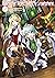 In Another World With My Smartphone: Volume 14 (Light Novel) (Volume 14) (In Another World With My Smartphone (Light Novel), 14)