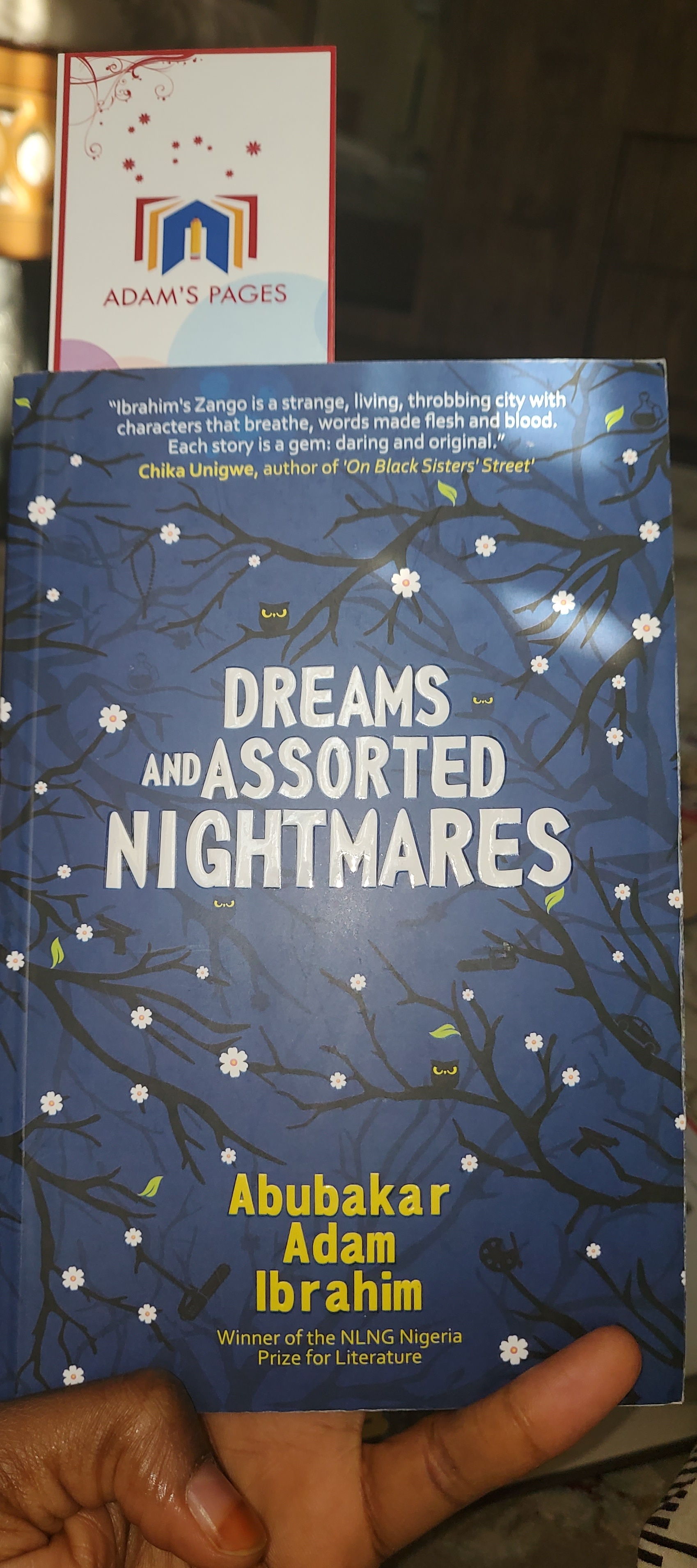 Dreams and Assorted Nightmares