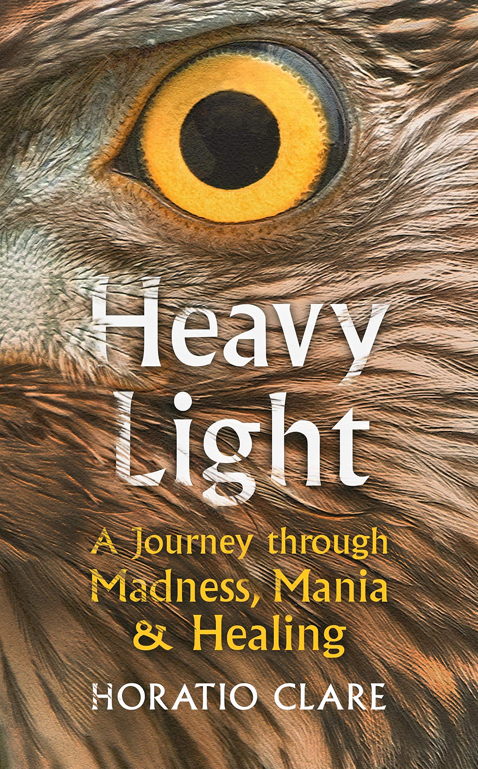 Heavy Light: A Journey Through Madness, Mania and Healing (Hardcover)