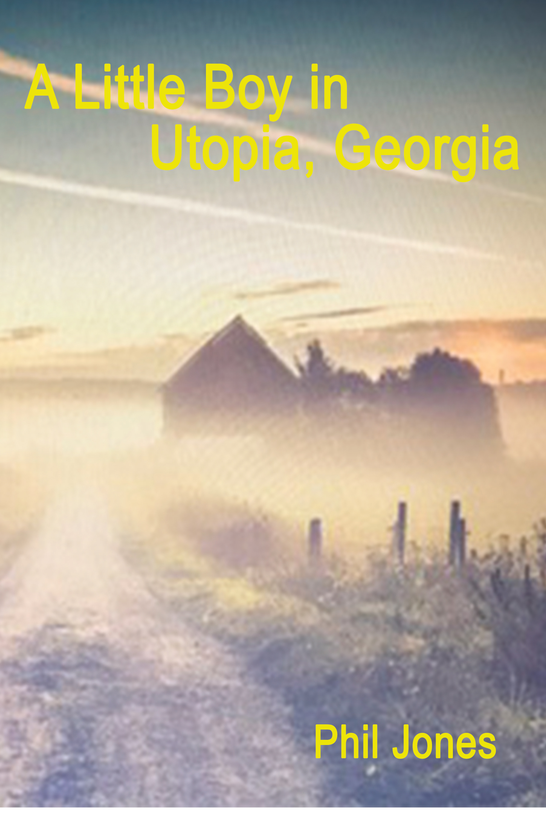 A Little Boy in Utopia, Georgia: A collection of true childhood stories from the south in the 60s. (Kindle Edition)