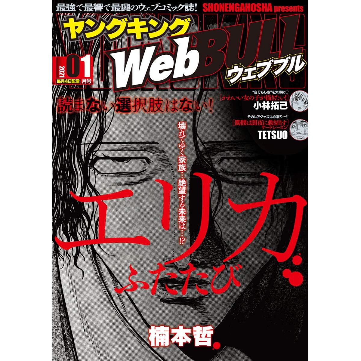 Webbull 21年1月号by 小林拓己