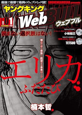 Webbull 21年1月号by 小林拓己
