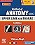 Textbook of Anatomy: Upper Limb and Thorax, Vol 1, 3rd Updated Edition, eBook