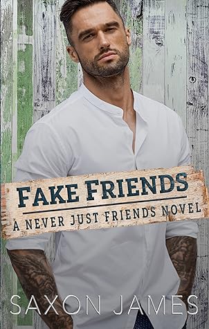 Fake Friends (Never Just Friends, #2)