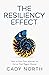 The Resiliency Effect: How to Own Your Adversity to Act on Your Biggest Dreams