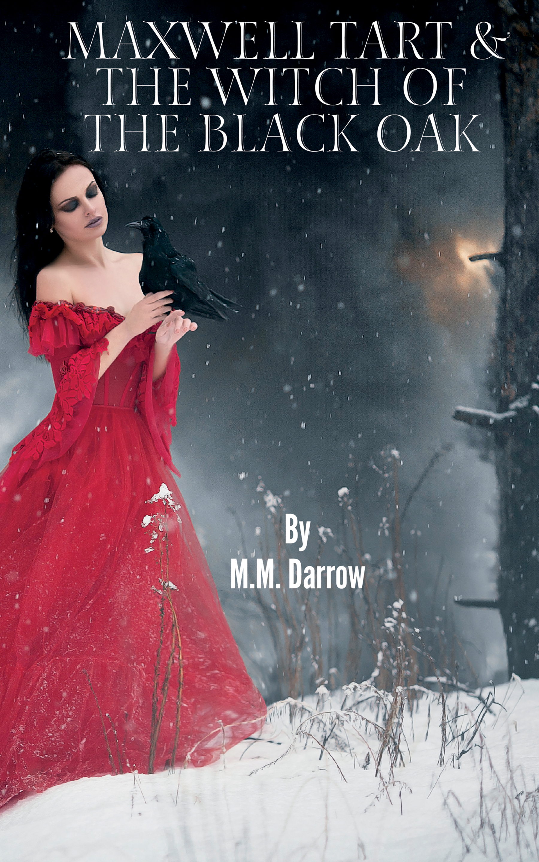 Maxwell Tart & the Witch of the Black Oak (Paperback)