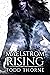 Maelstrom Rising by Todd Thorne