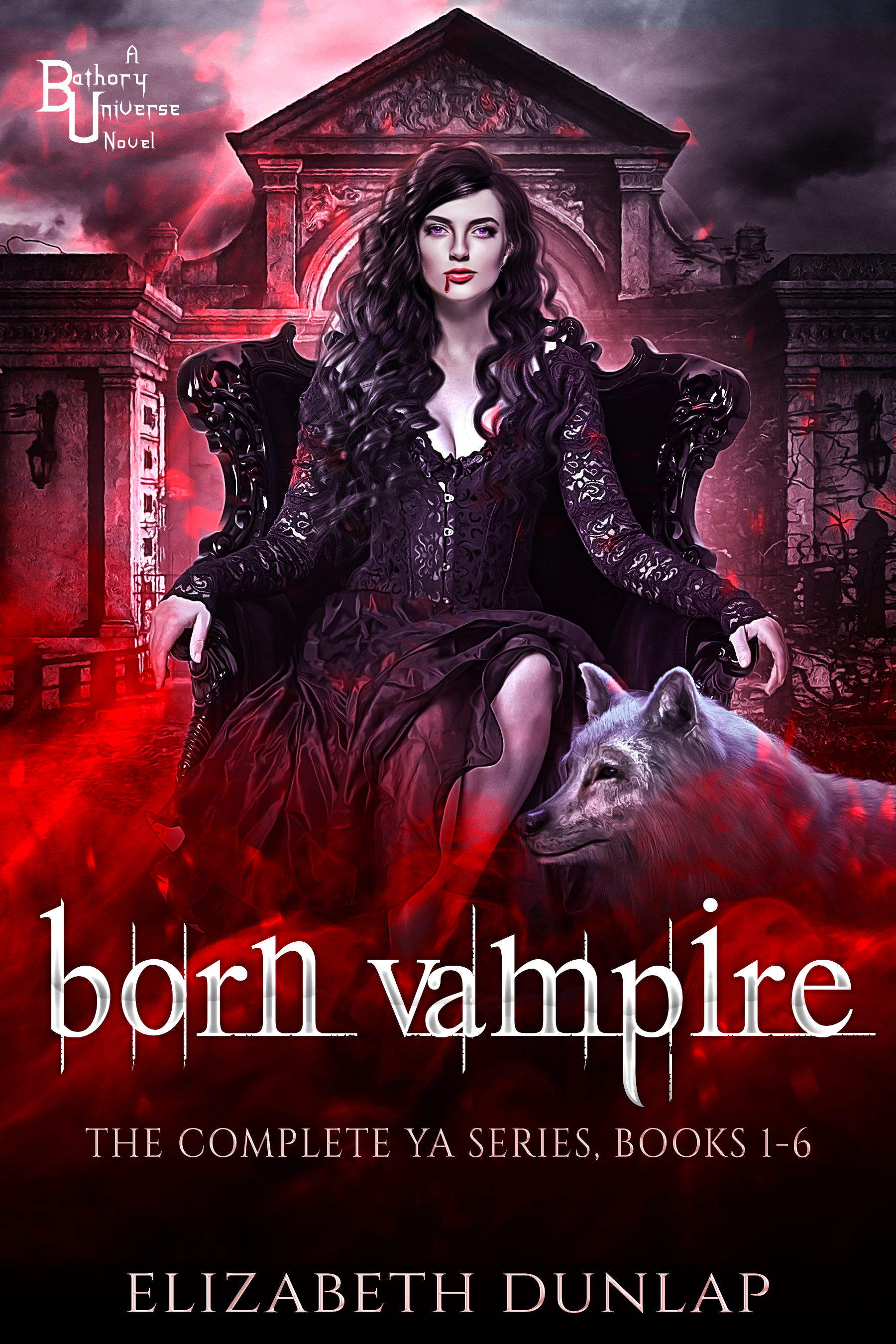 Born Vampire: The Complete Series (YA Born Vampire, #1-6)