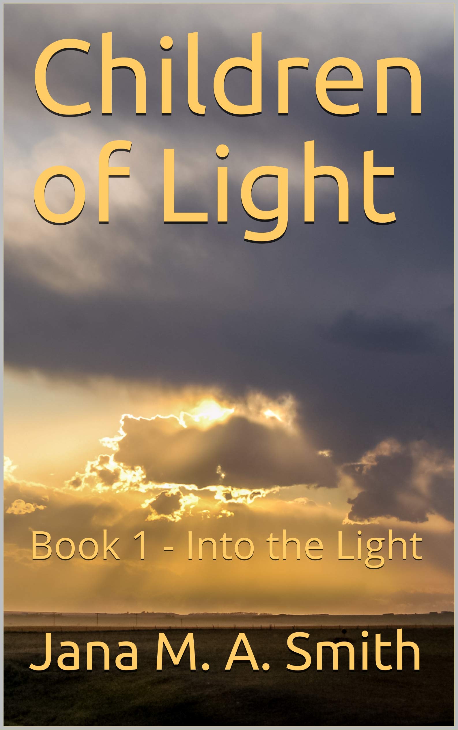 Into the Light (Kindle Edition)