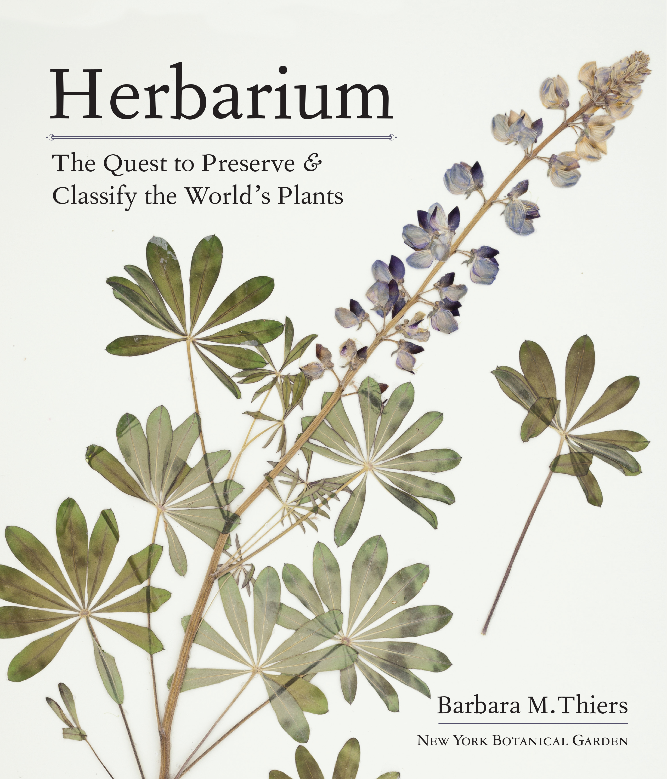 Herbarium: The Quest to Preserve and Classify the World's Plants (Hardcover)