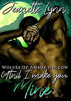 Until I Make You Mine (Wolves of Amrok Hollow, #1)