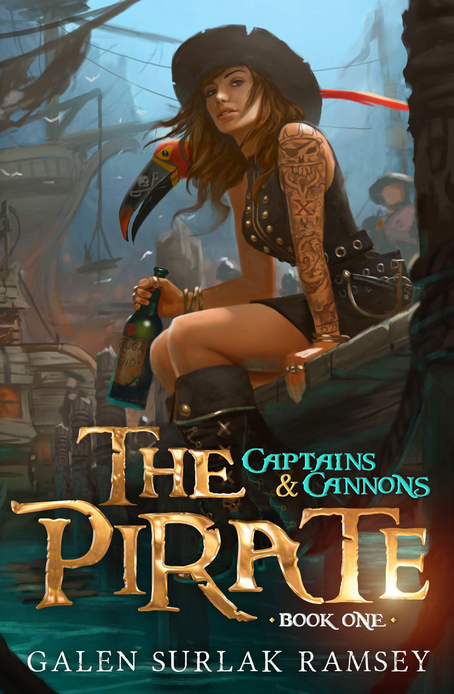 The Pirate (Captains & Cannons, #1)