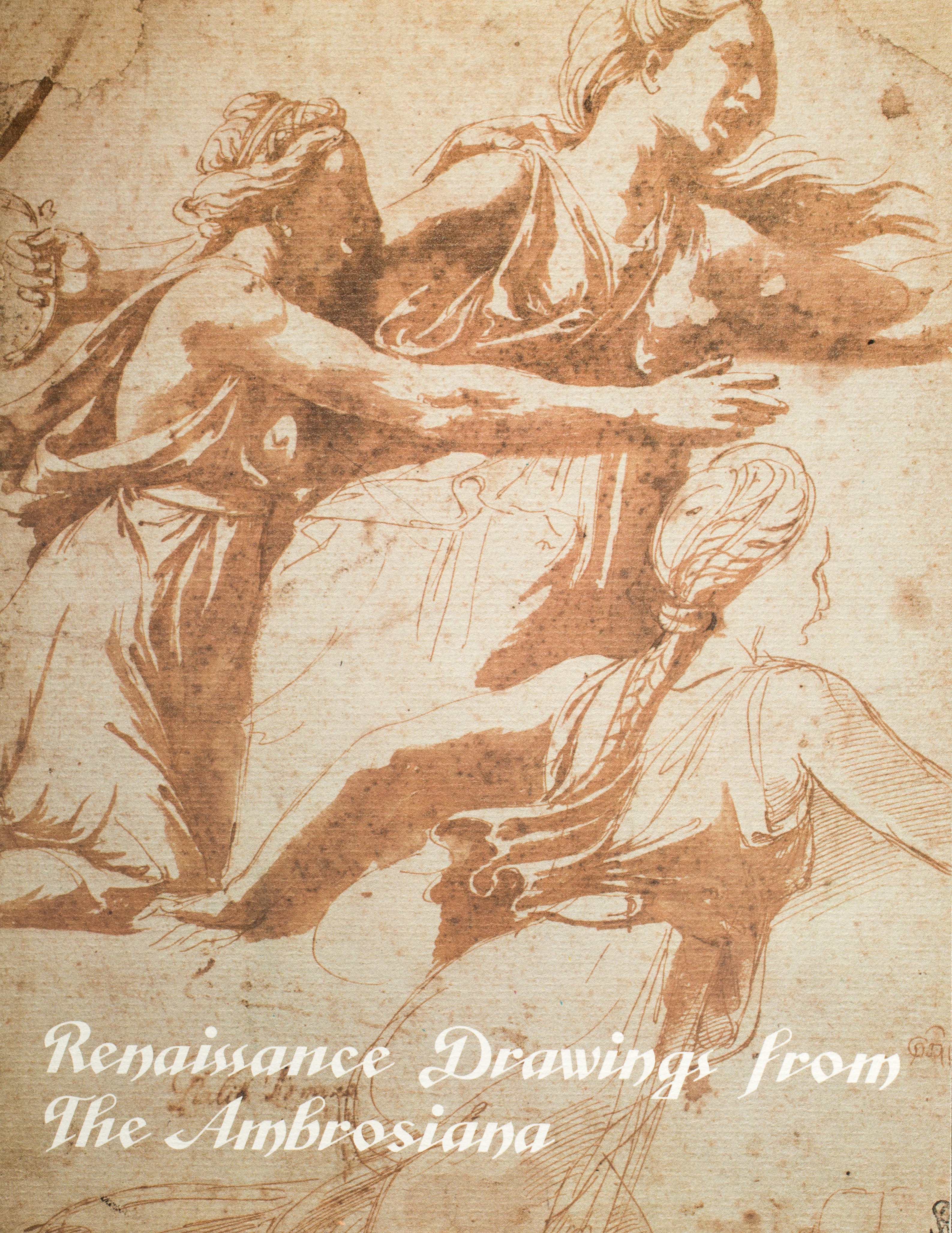 Renaissance Drawings from the Ambrosiana (Paperback)