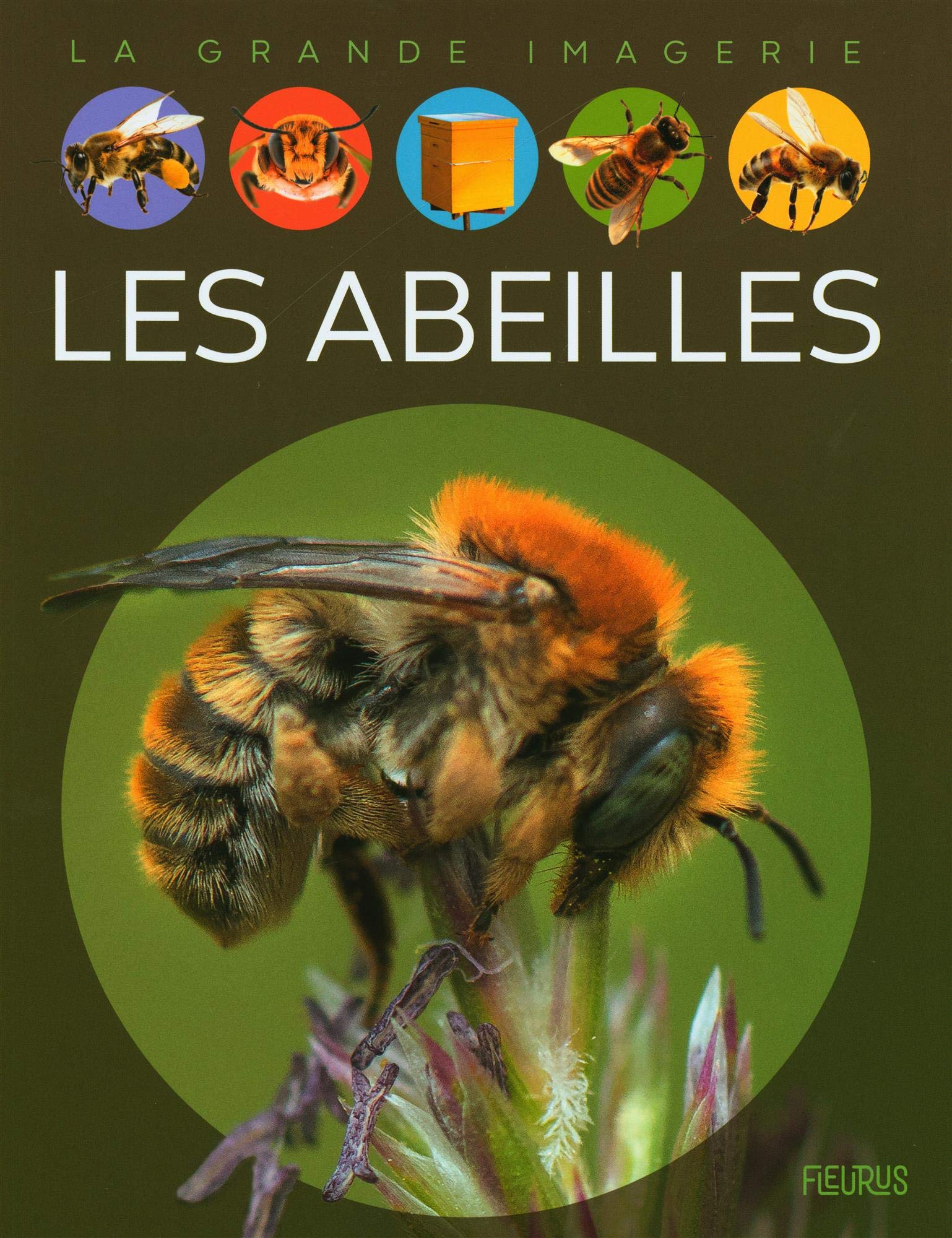 Les abeilles (Hardcover)
