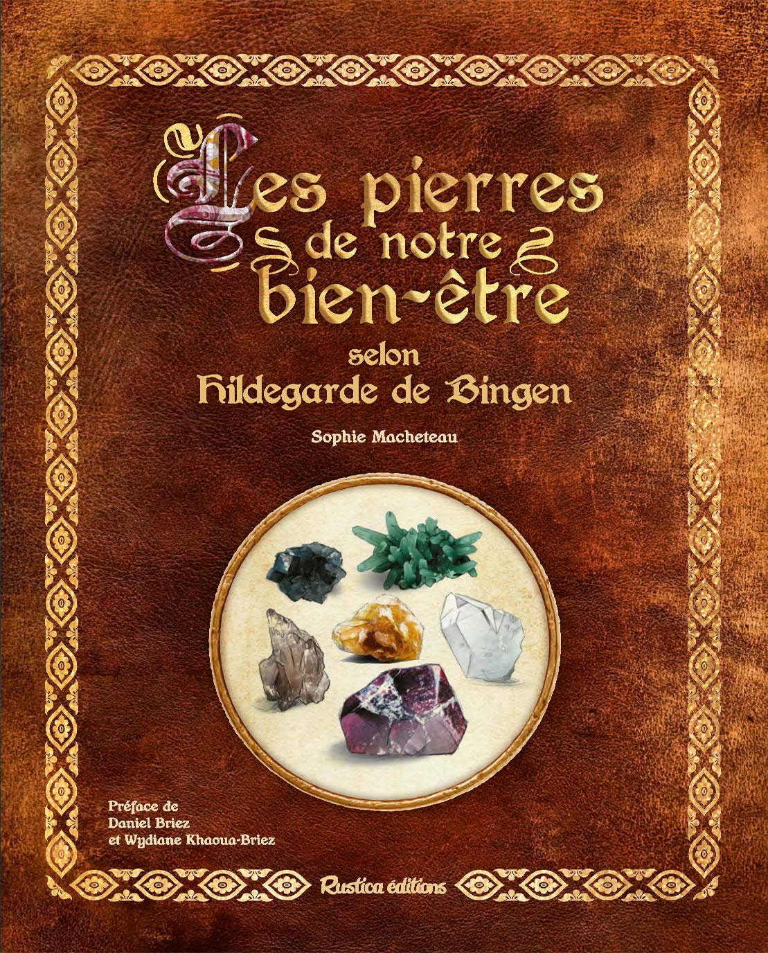 Les pierres de notre bien-être selon Hildegarde de Bingen (Paperback)