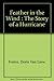 Feather in the Wind : The S...