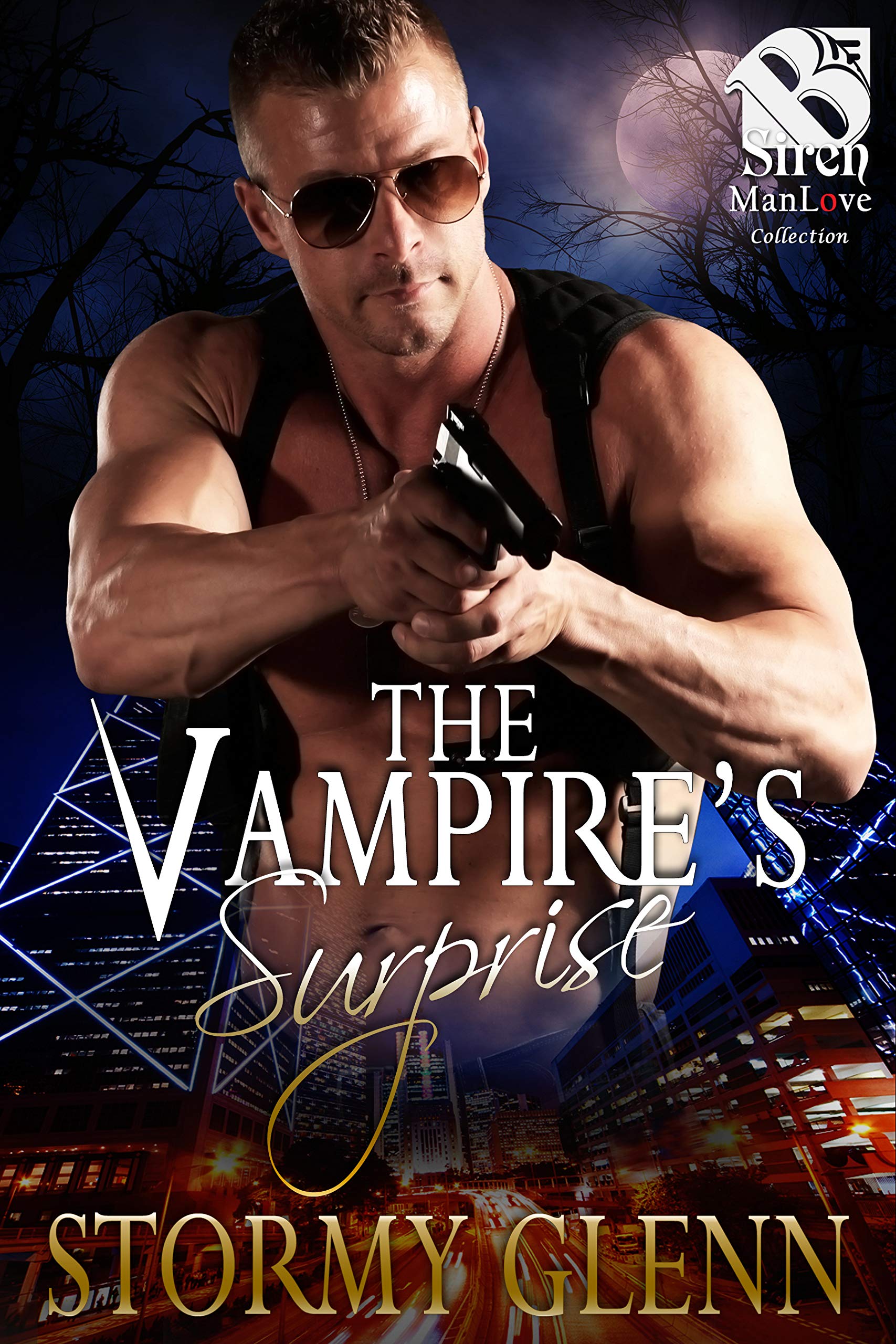 The Vampire's Surprise (Vampire Chronicles #5)
