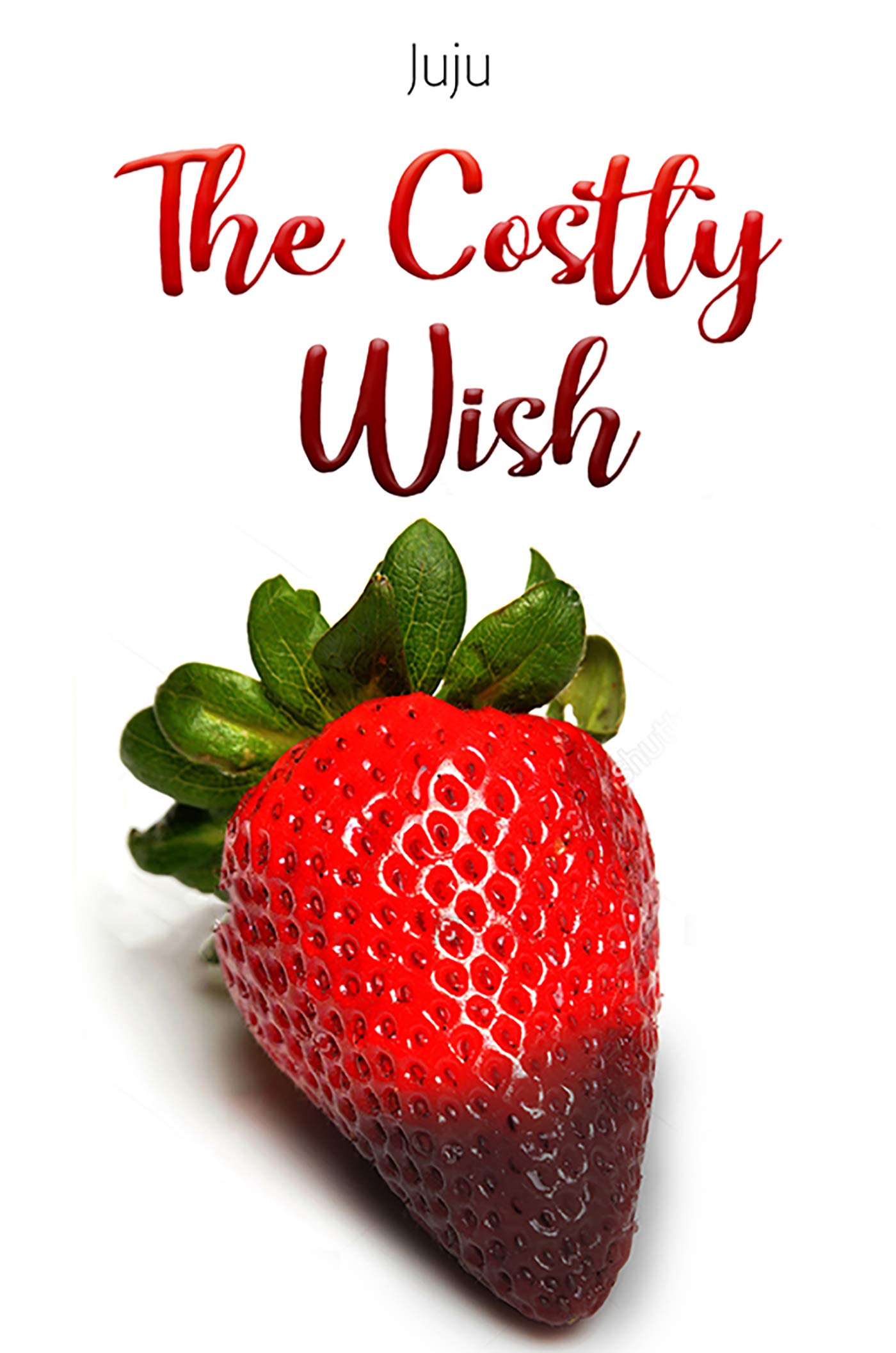 The Costly Wish (Kindle Edition)
