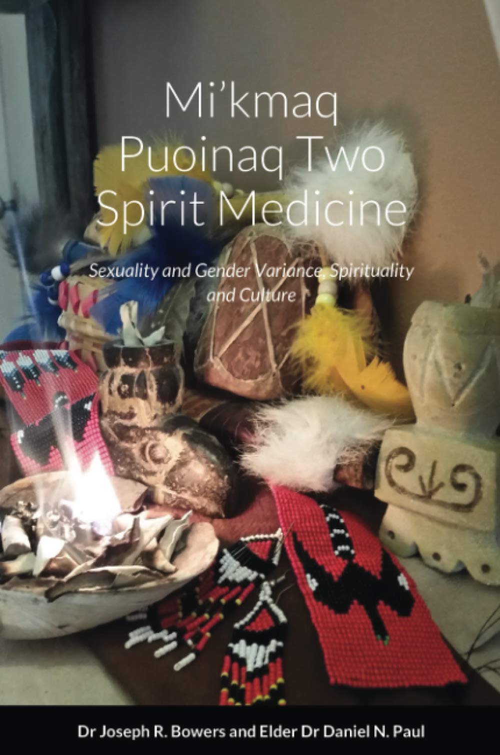 Mi’kmaq Puoinaq Two Spirit Medicine: Sexuality and Gender Variance, Spirituality and Culture (Paperback)