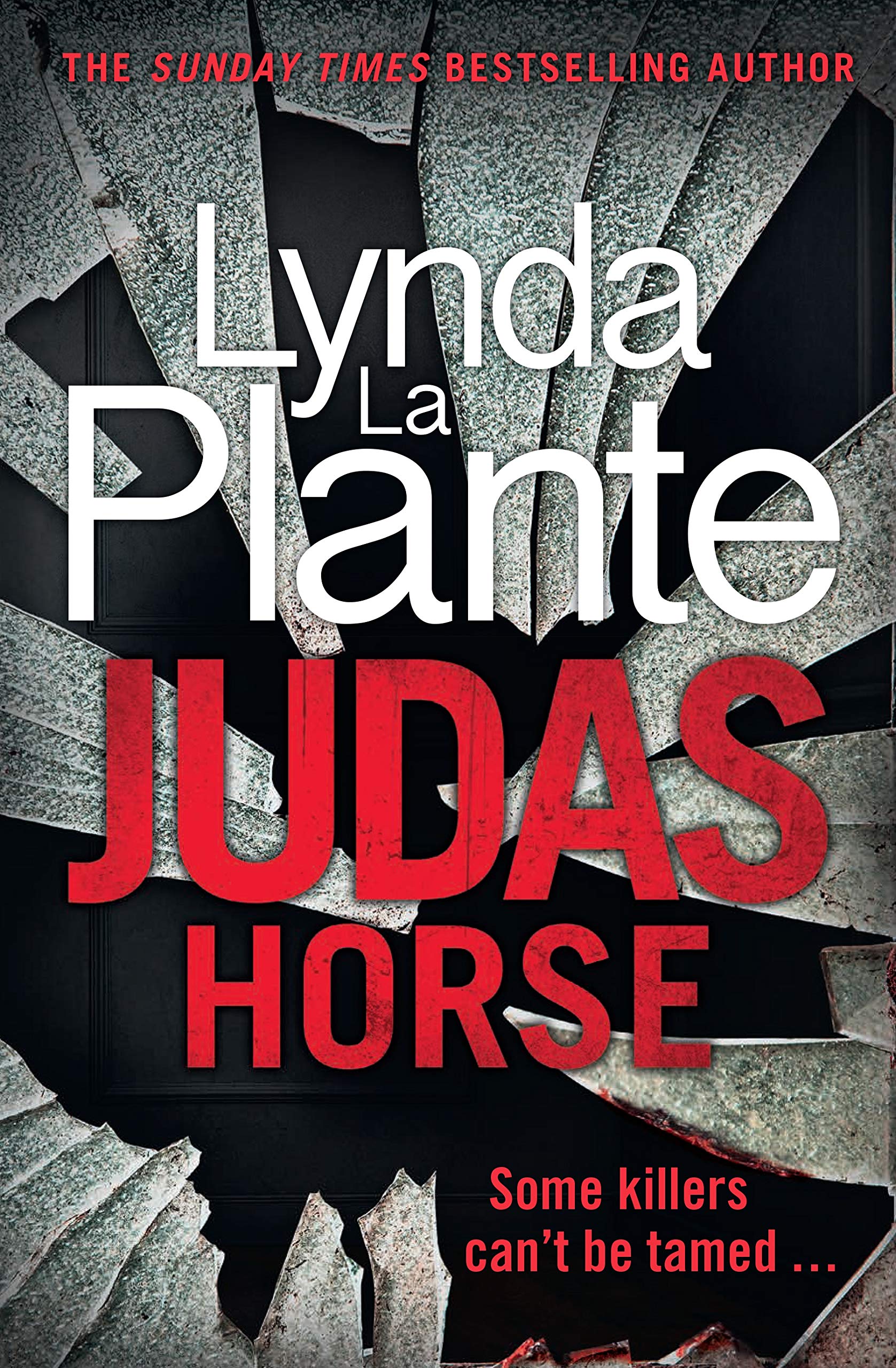 Judas Horse (DC Jack Warr, #2)