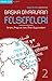 Başka Diyarların Felsefeleri 2: İbrani, Arap ve İran, Mısır Düşünceleri