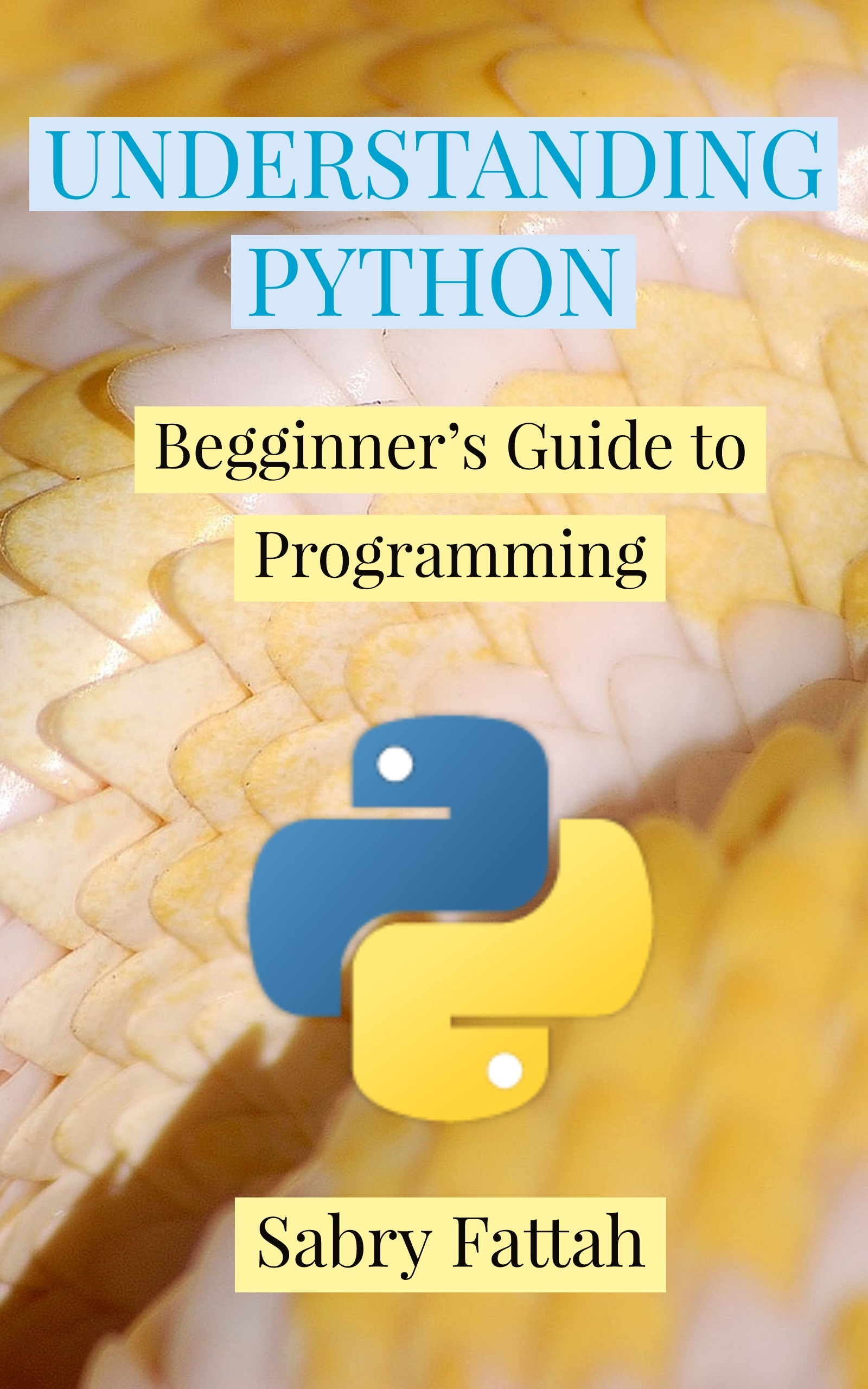 UNDERSTANDING PYTHON: Beginner’s Guide to Programming