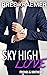Sky High Love (Friends & Br...