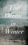 The Ocean In Winter by Elizabeth de Veer