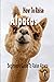 How To Raise Alpacas: Begin...