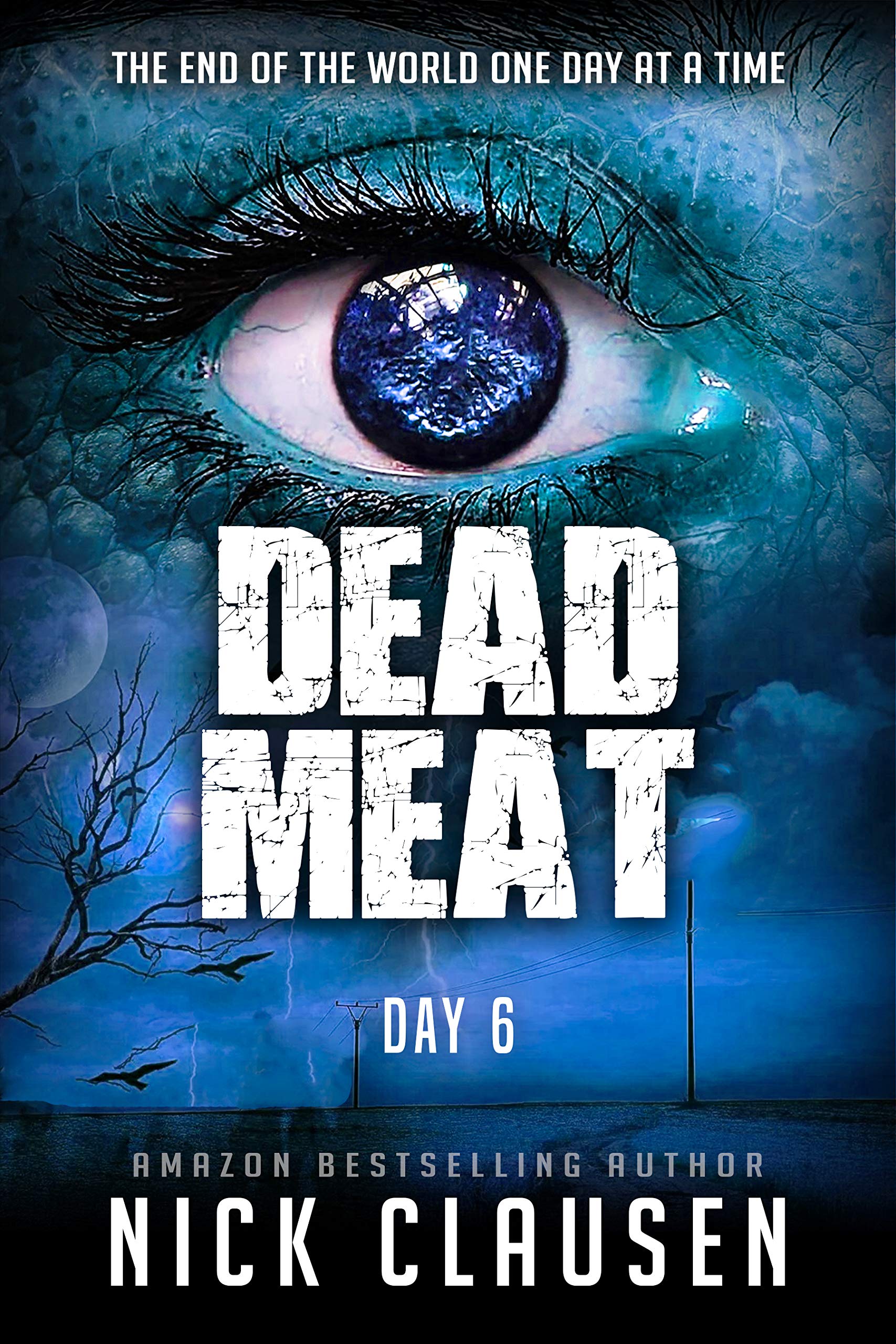 Dead Meat: Day 6 (Dead Meat #6)