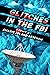 Glitches in the FBI by Amaris Feland Ketcham