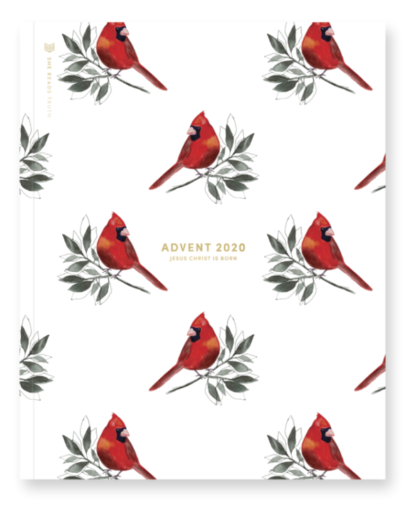 Advent 2020: Jesus Christ is Born