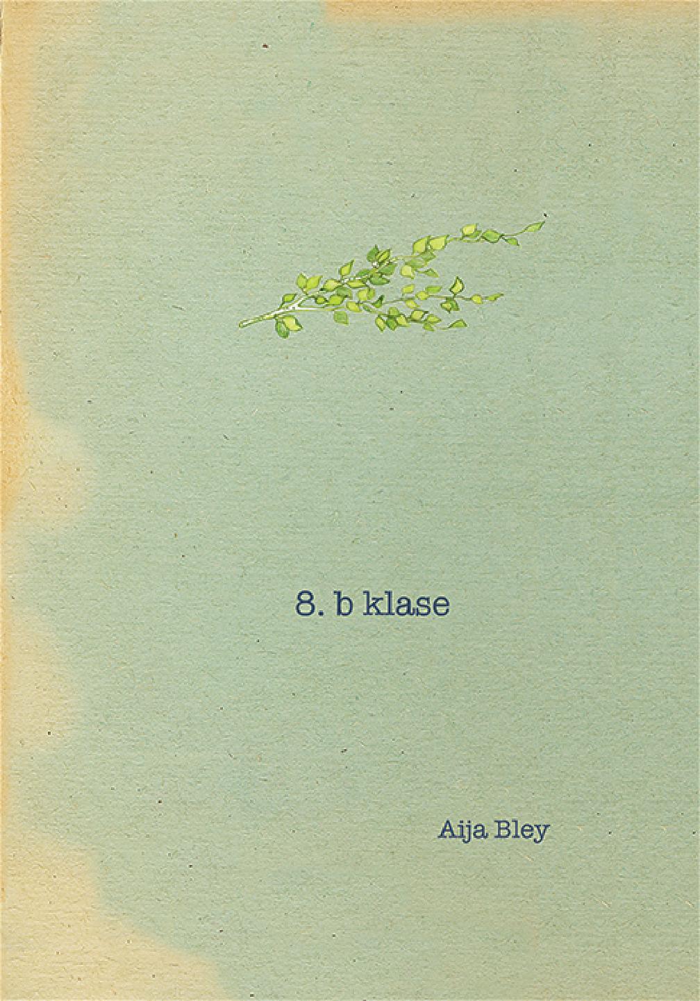 8.b klase (Hardcover)