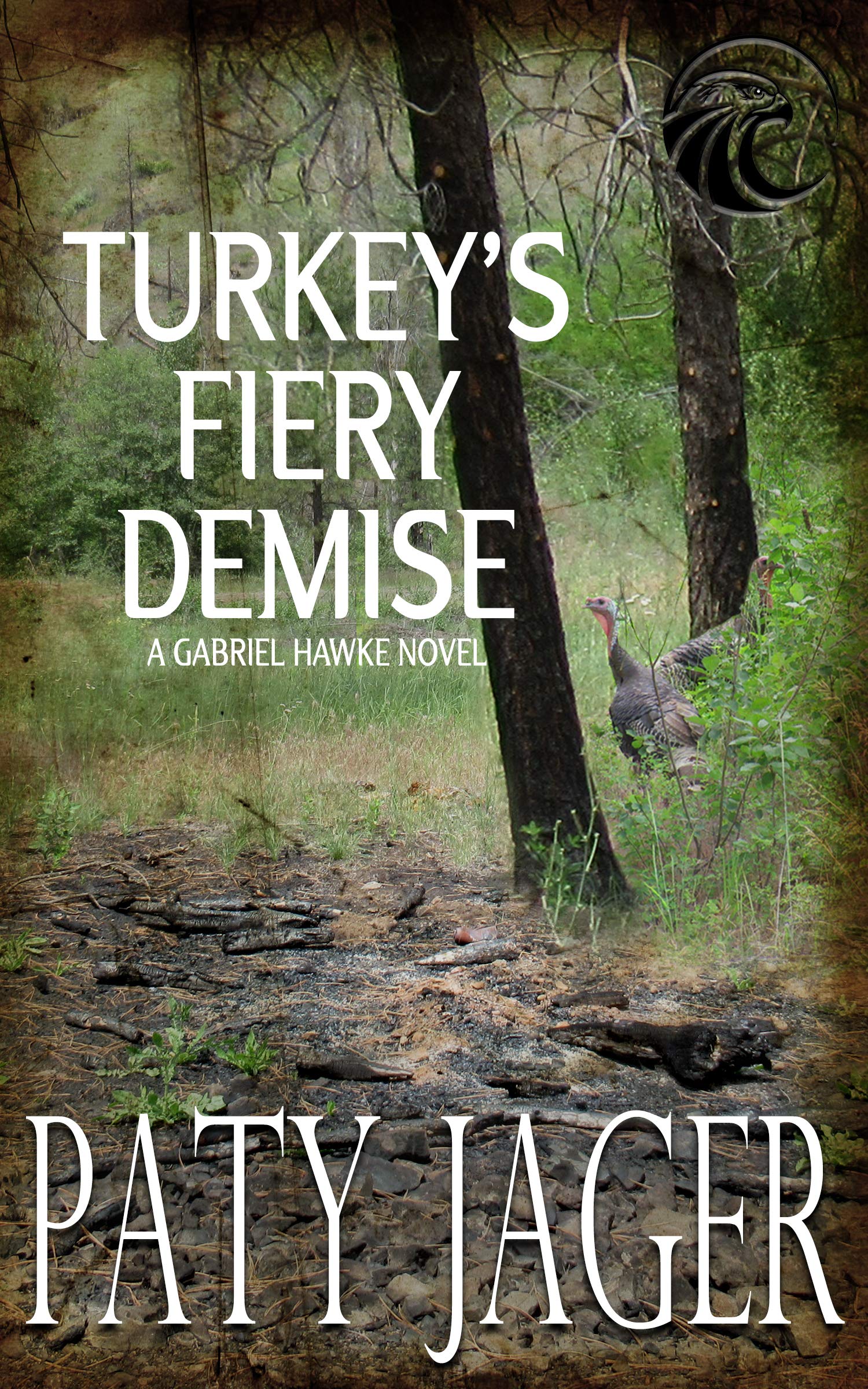 Turkey's Fiery Demise (Gabriel Hawke, #6)