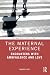 The Maternal Experience: Encounters with Ambivalence and Love (Women and Psychology)