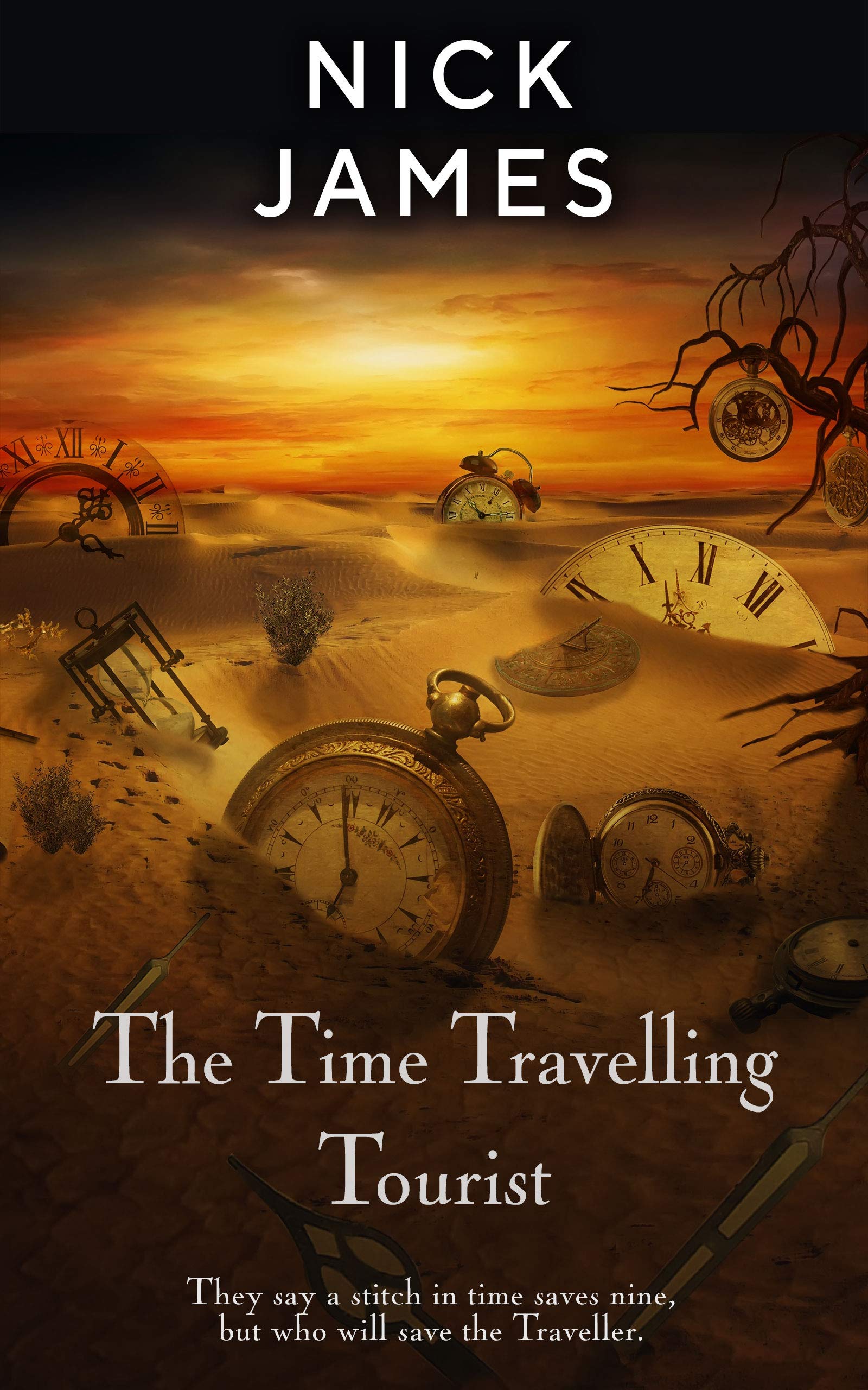The Time Travelling Tourist (Kindle Edition)