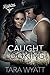 Caught Looking (Dallas Longhorns, #3)