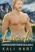 Lincoln (Harrison Brothers ...