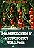 DIY AEROPONICS & HYDROPONIC...