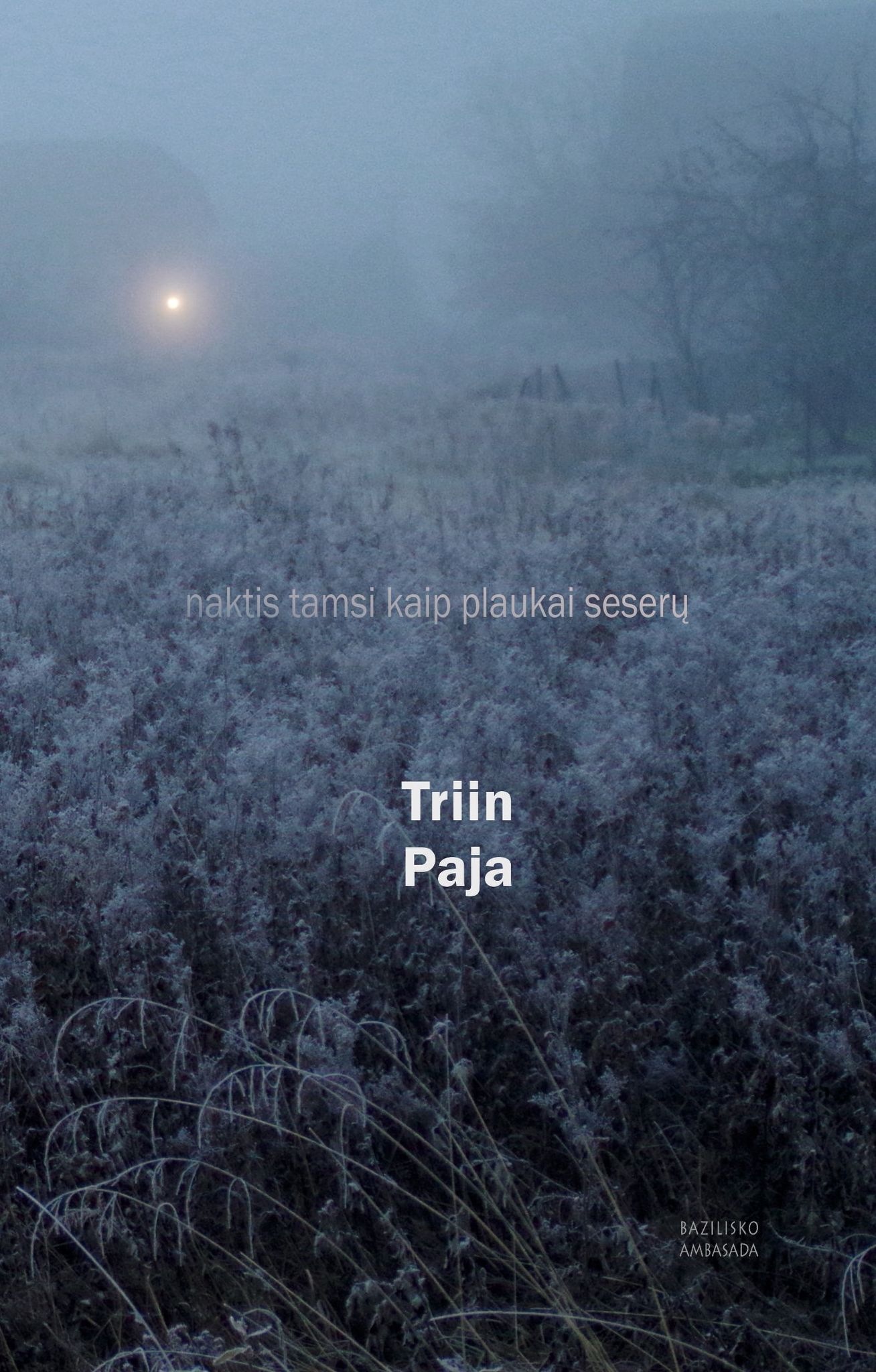 Naktis tamsi kaip plaukai seserų (Bazilisko ambasada, #6)