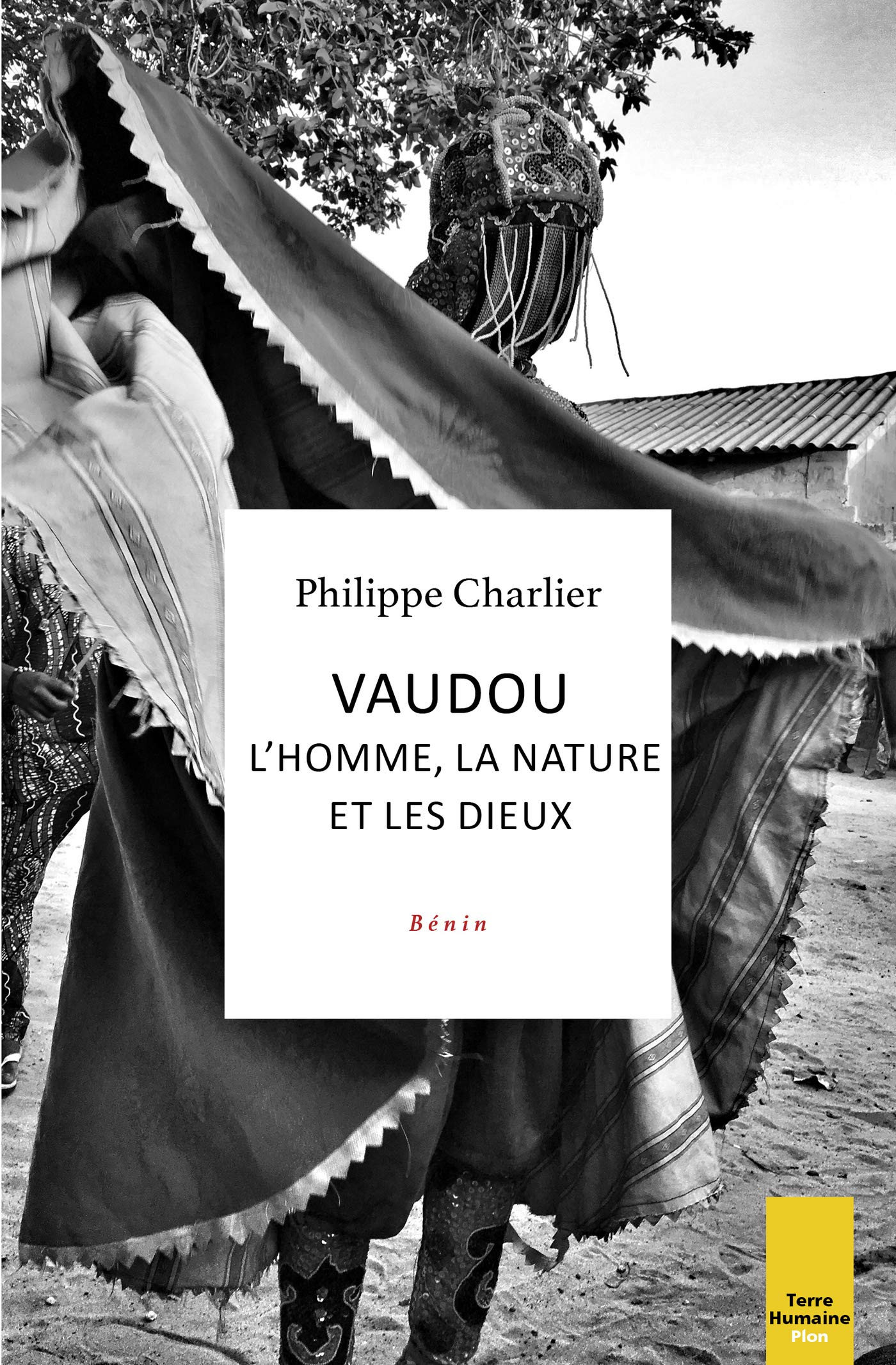 Vaudou - L'homme, la nature et les dieux (Bénin) (French Edition)