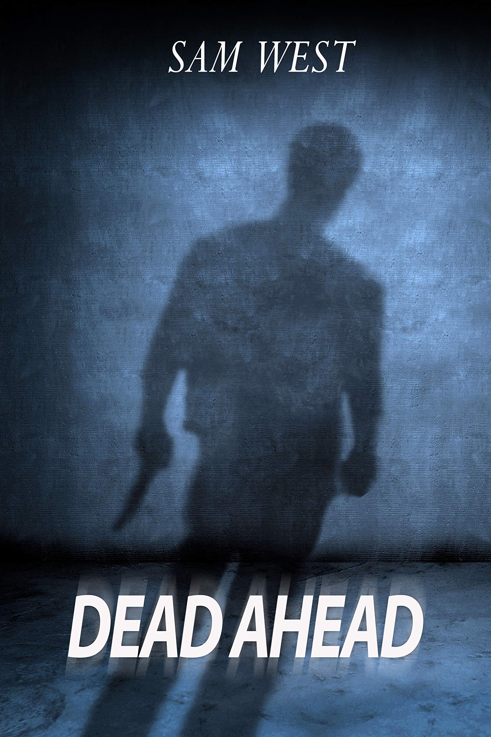 Dead Ahead (Kindle Edition)