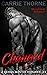 Changed (Demon Hunter Romance #3)