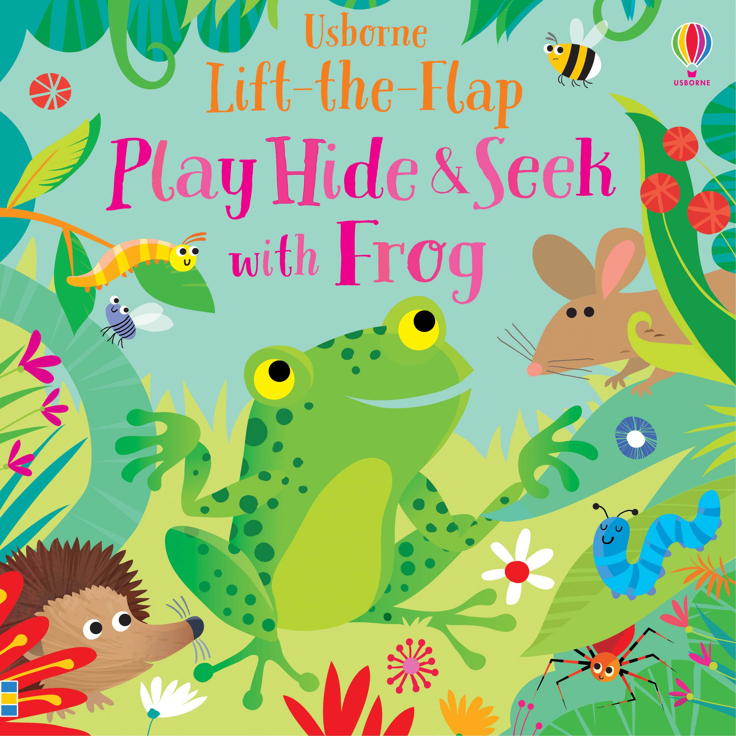 Play Hide and Seek with Frog (Board Book)