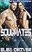 Soul Mates: Alien Shifter B...