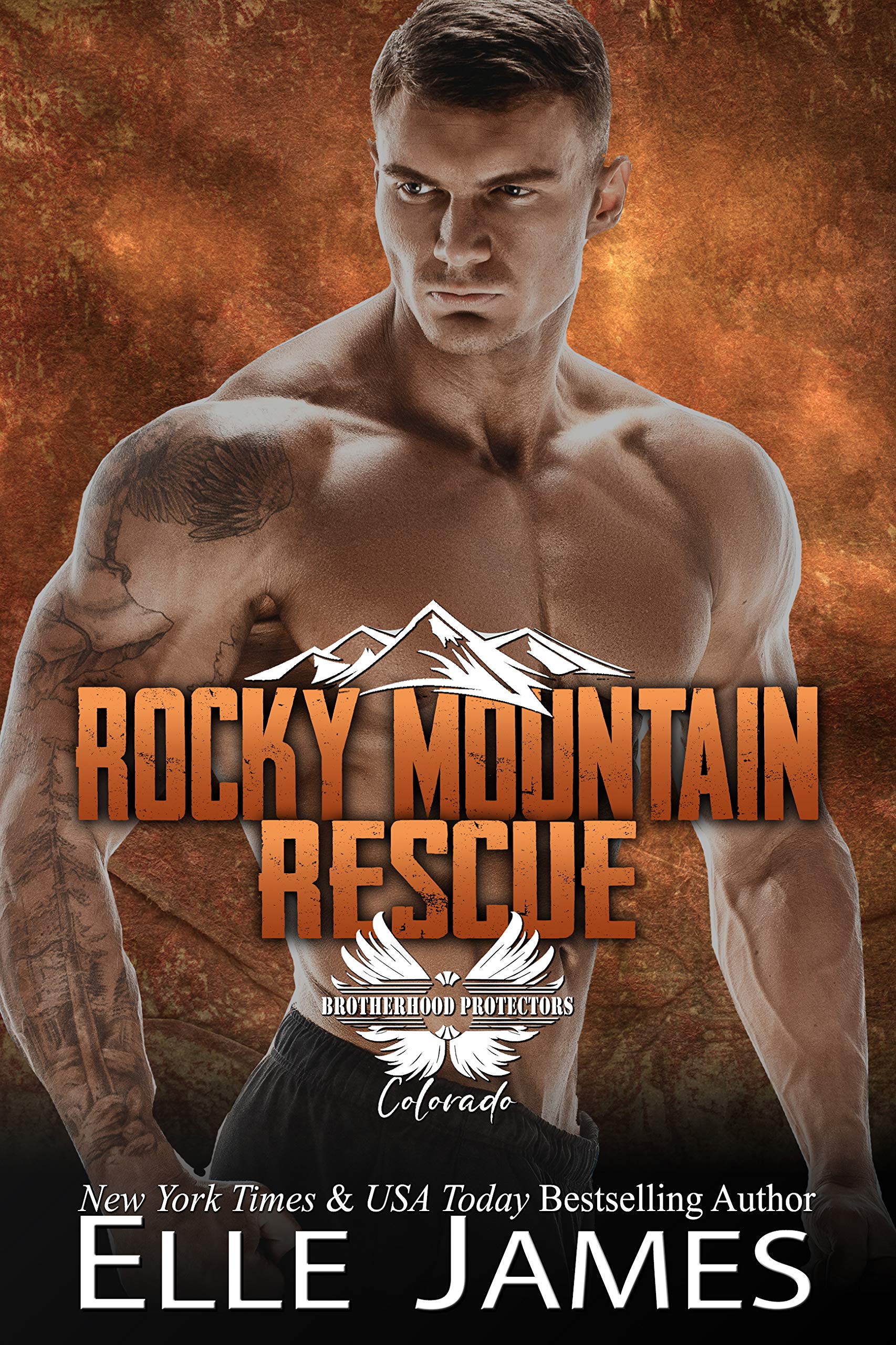Rocky Mountain Rescue (Brotherhood Protectors: Colorado #2)