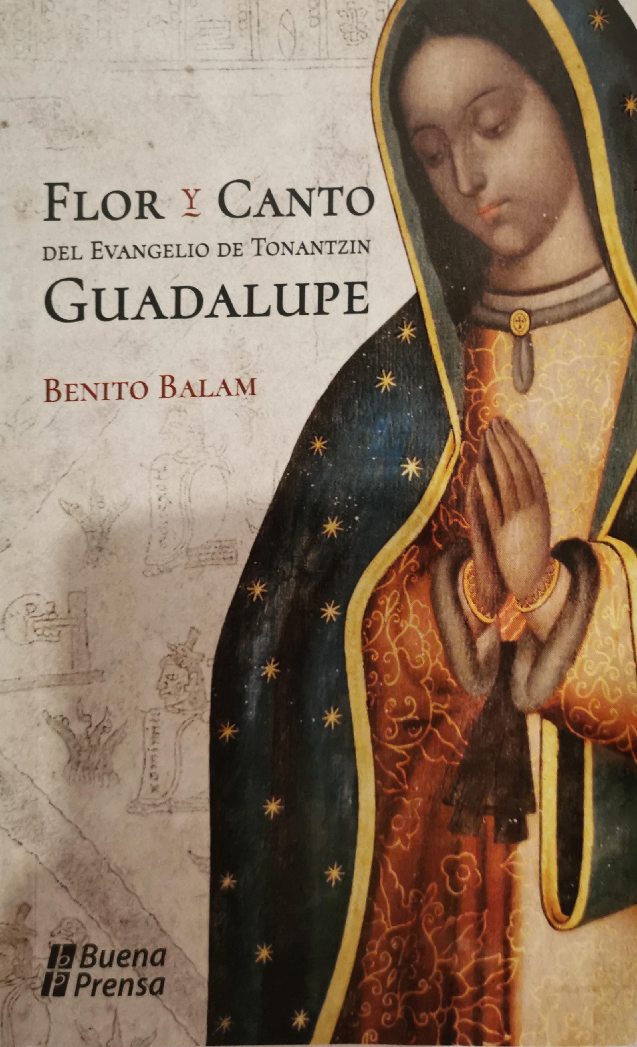 Flor y Canto del Evangelio de Tonantzin Guadalupe (Paperback)