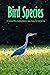 Bird Species: 15 Common Bir...